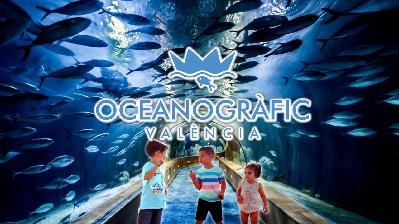 Oceanográfic Valencia #oceanografic #valencia