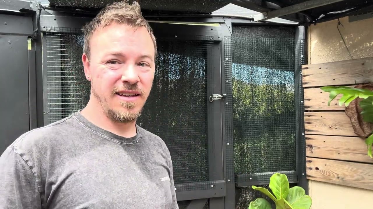 Green Wall On A Budget - Fresh addition to the greenhouse