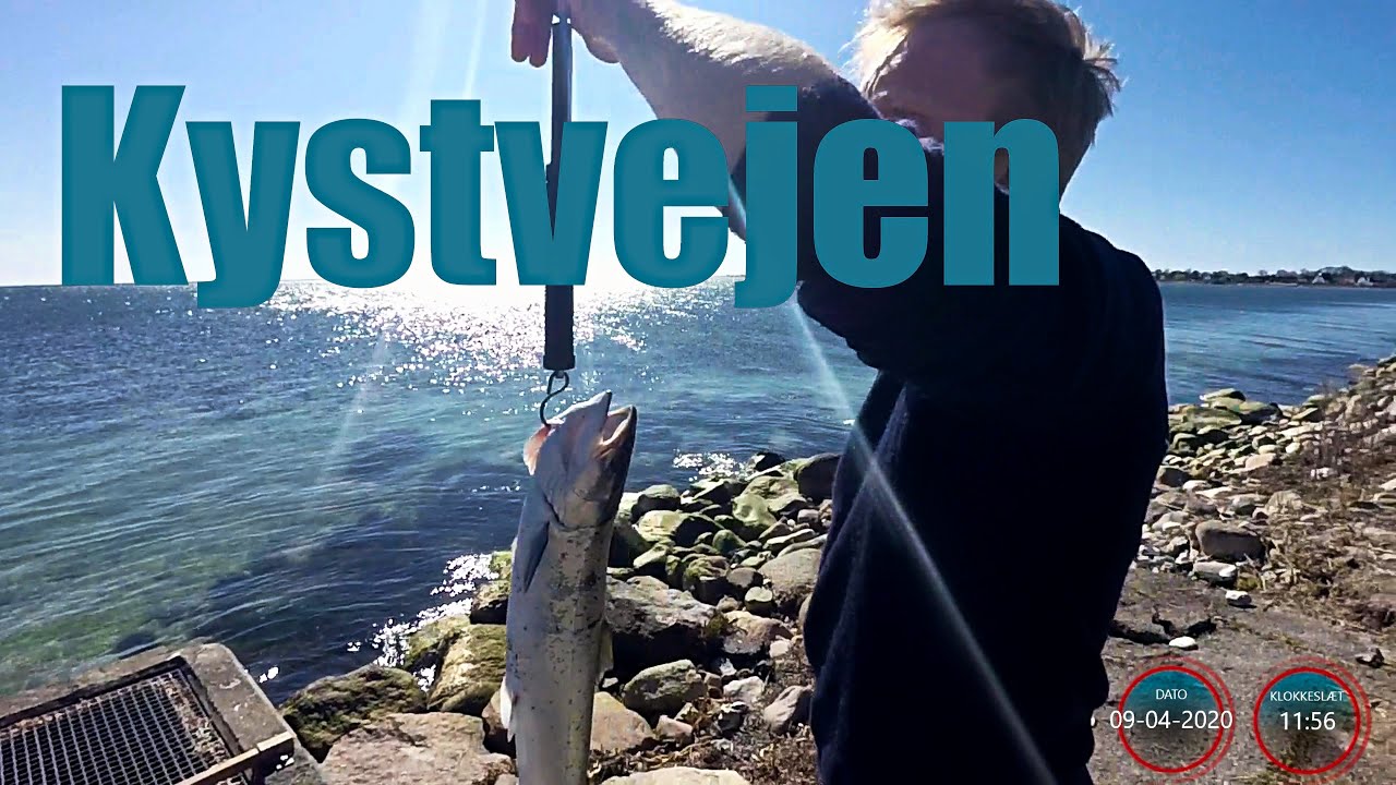 Kystvejen April 2020 Havørred