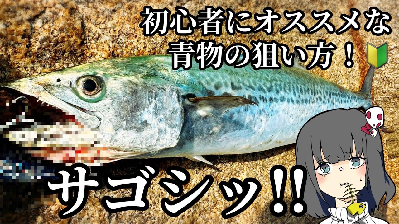 青物を簡単に狙う方法はコレだっ！！！