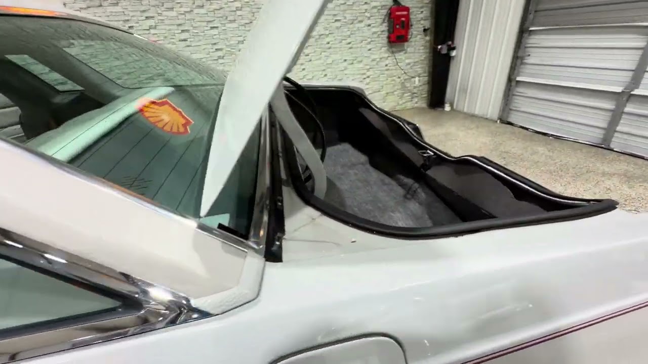 1977 Ford Thunderbird Interior Review!! BEAUTIFUL PAINT!!