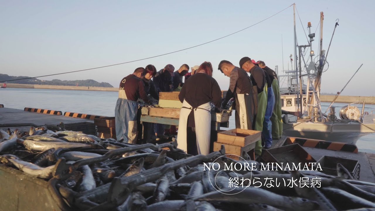終わらない水俣病～NO MORE MINAMATA