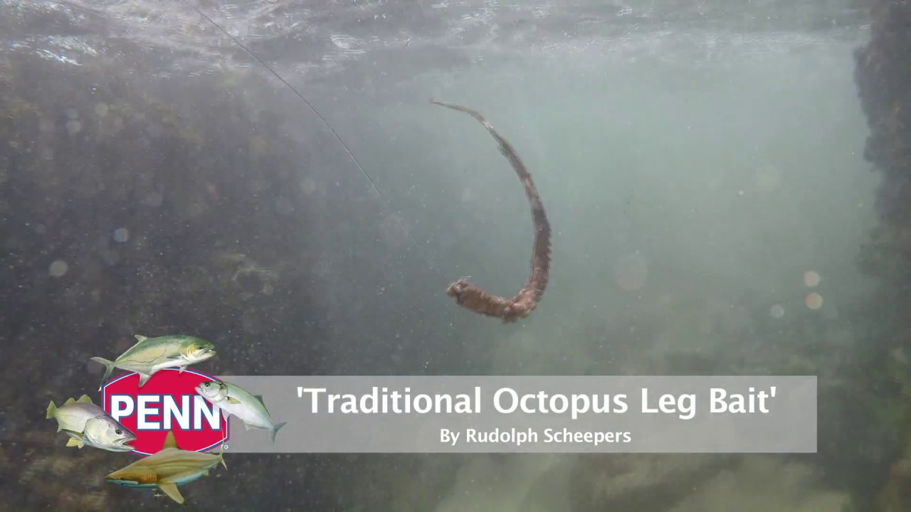 Traditional Octopus Leg Bait