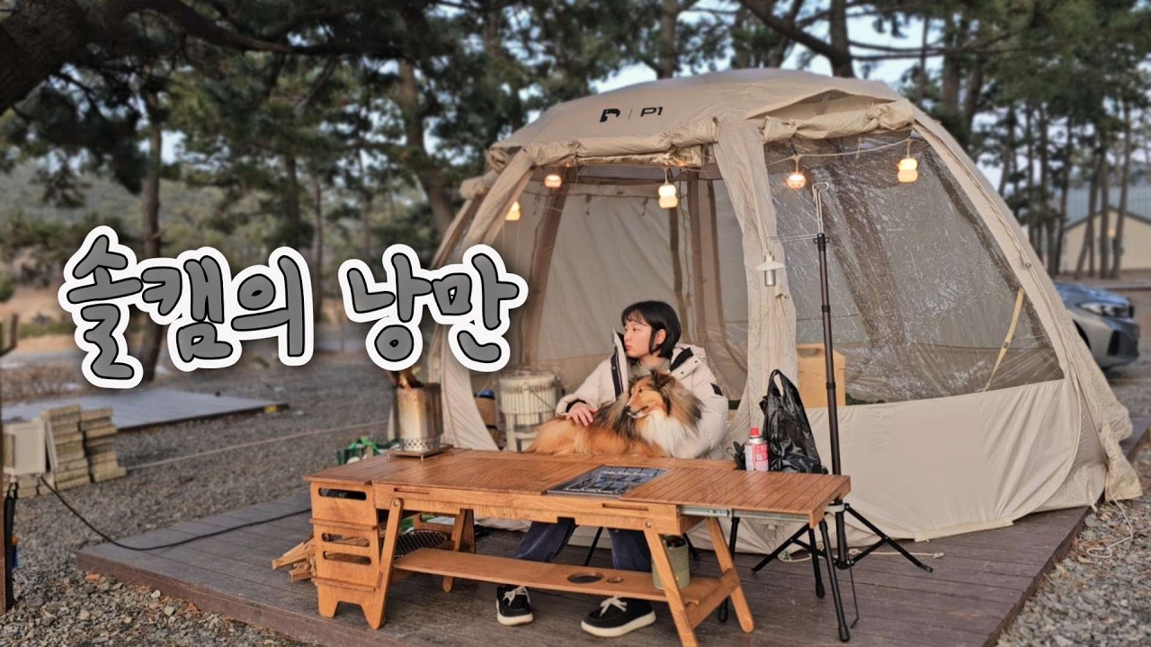 플라이가 날아가고 등유가 떨어져도.. 첫 솔캠의 낭만! | 태안 앞바다 | 가리비 구이 | 까르보나라 떡볶이 | 사목공원 캠핑장 | 애견동반캠핑 | 서해바다