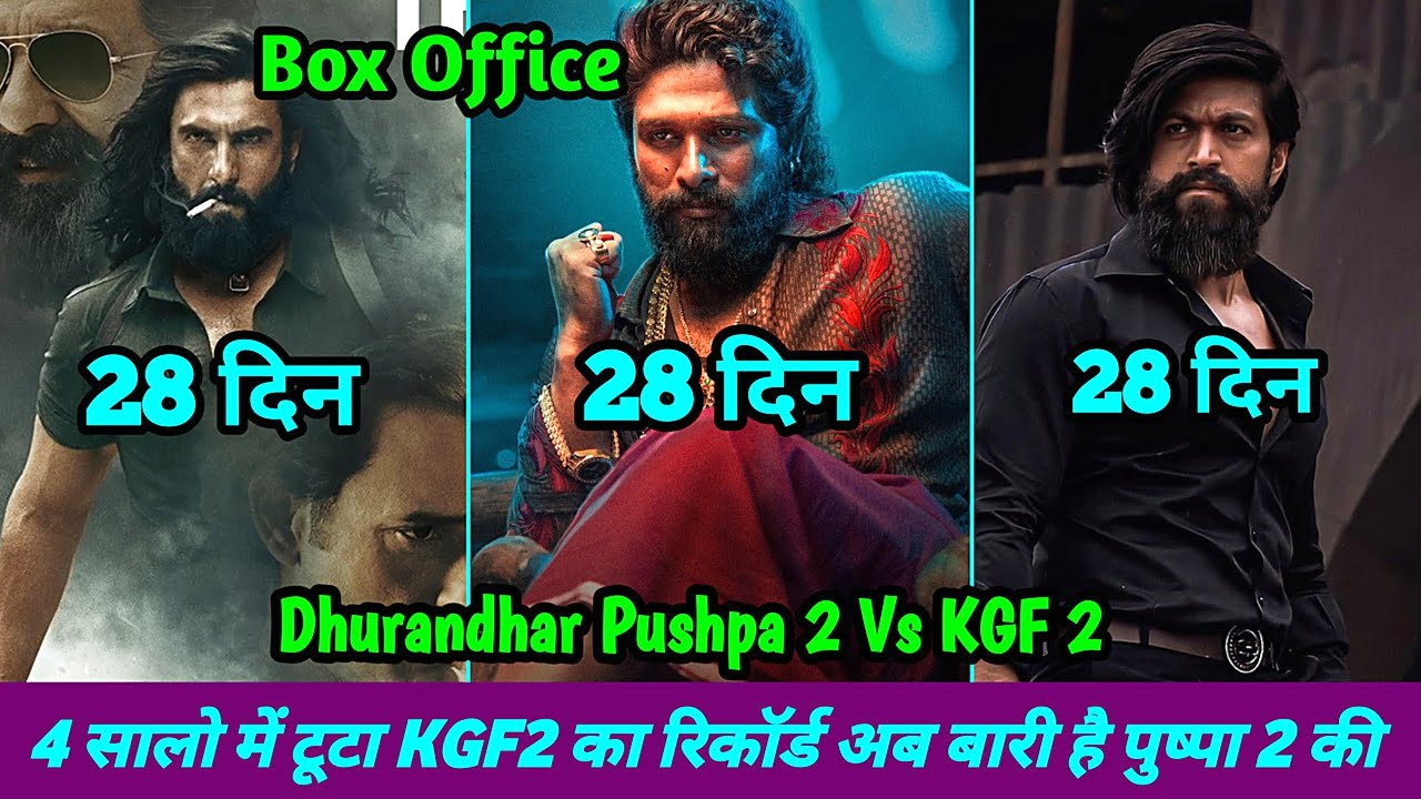 Dhurandhar Box Office Collection Vs Pushpa 2 Vs KGF 2 Collection Day 28 Comparison Hindi Worldwide
