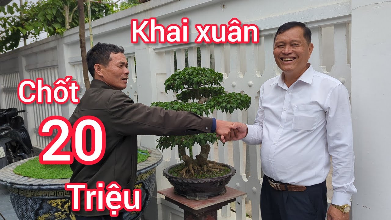 Sôi động đầu năm nổ 20 triệu tác phẩm sanh giáng văn nhân chủ vườn nhất quyết không bán 