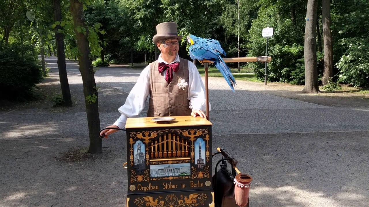 Leierkastenmann im Tiergarten - Berlin