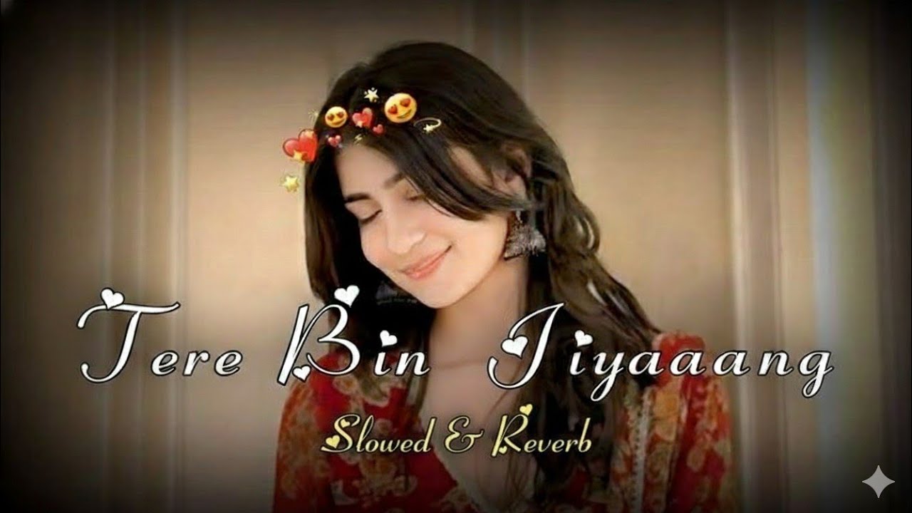 Tere Bin Jiya Jaaye Na - Lofi Mix | এই গানটি আপনার মন শান্ত করে দেবে.. 🌙✨