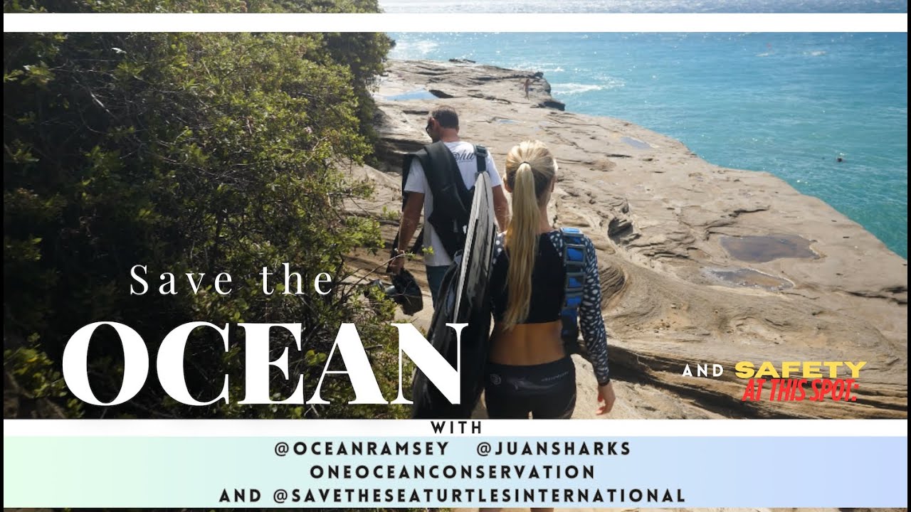 Help us #SaveTheOcean This spot needs help 🚨#OneOceanConservation #SaveTheSeaTurtlesInternational #🌊
