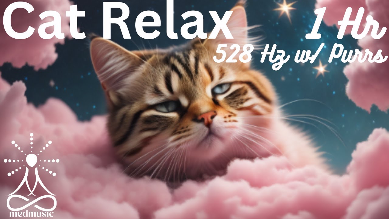 The Most Soothing Cat Relax Music 528 Hz with Purrs