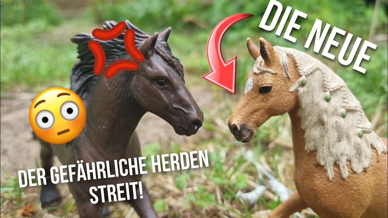 Der gefährliche Herdenstreit..😳DIE NEUE! Schleich Pferde Video 1/2