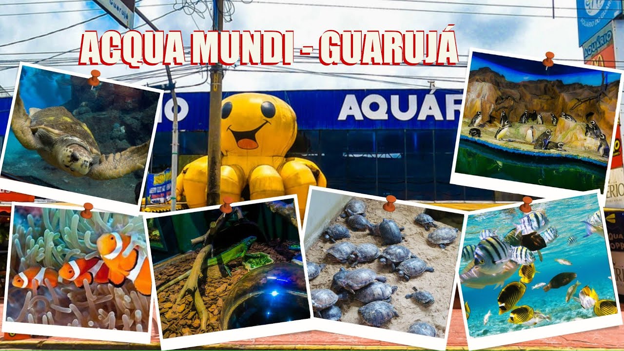 O Acqua Mundo ☀️ Guarujá - SP