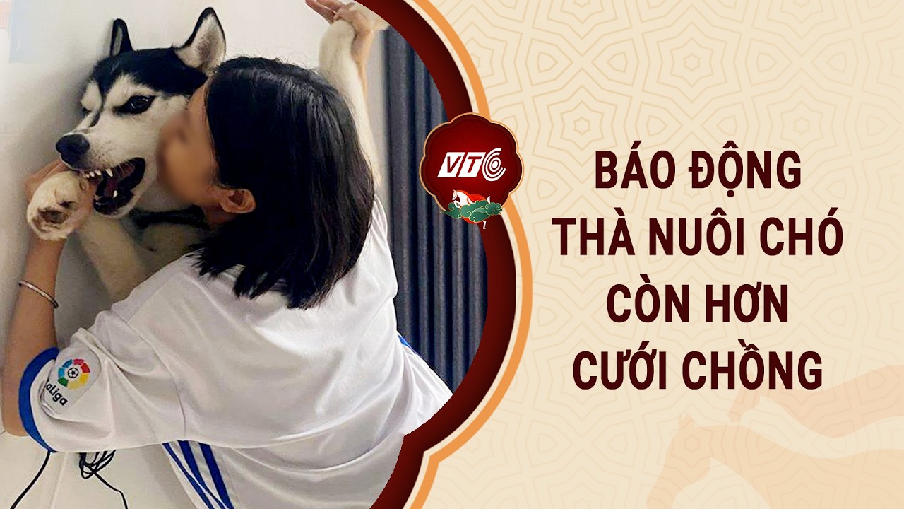 Báo động không yêu, không cưới: Phụ nữ chọn chó, mèo làm bạn đời l VTC One