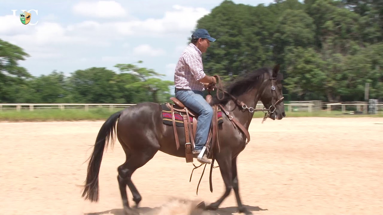 TV UC - Concentrar energia na garupa para liberar a frente