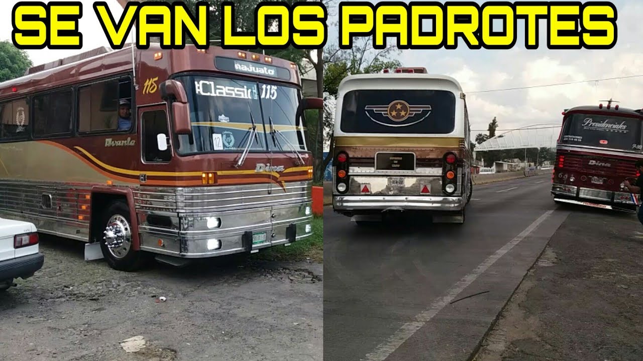 SE VAN 3 DETROIT DE GUADALAJARA