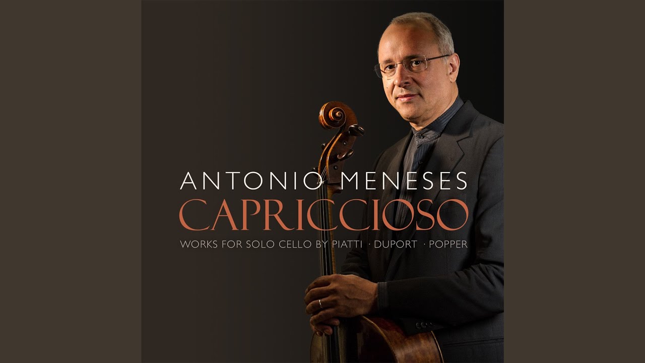 12 Caprices, Op. 25: No. 4 in D Minor - Allegretto