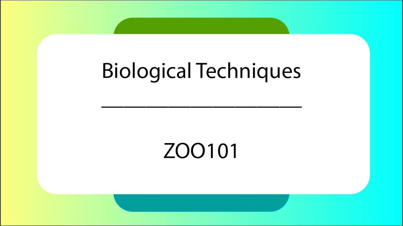 ZOO101 final term mcqs | BiologIcal Techniques MCQs | ZOO101 MCQs | Set 2@querypointofficial