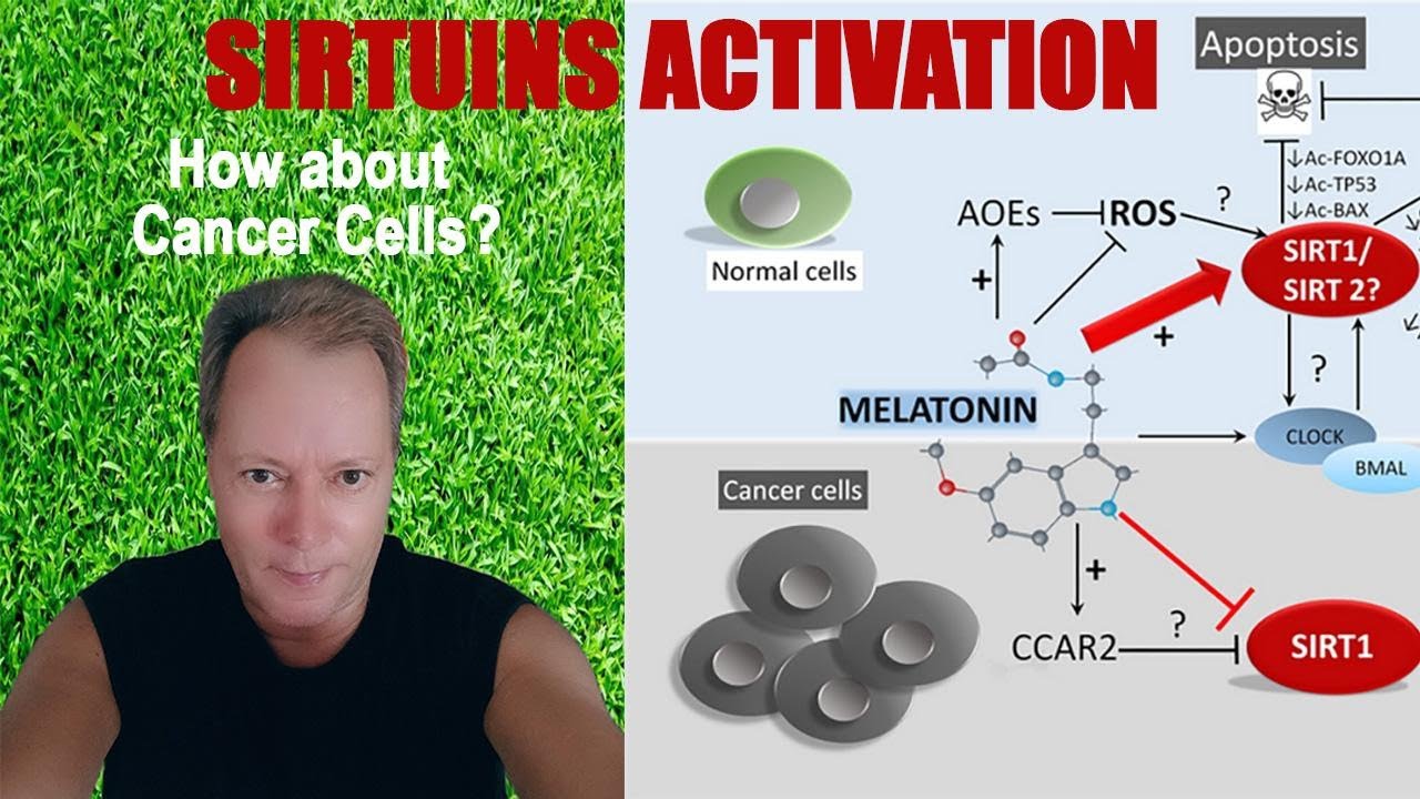 NAD+ Benefits with Sirt 1