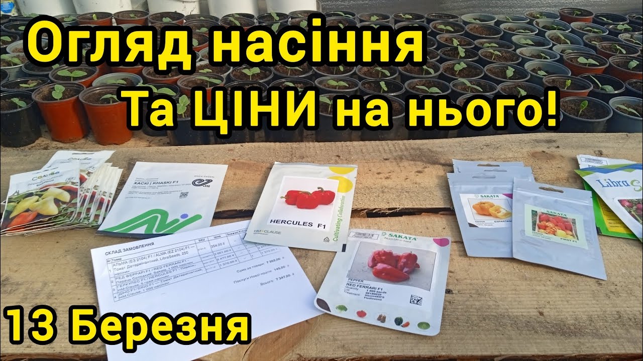Огляд гібридного насіння. Сезон 2026 Перець Томат 