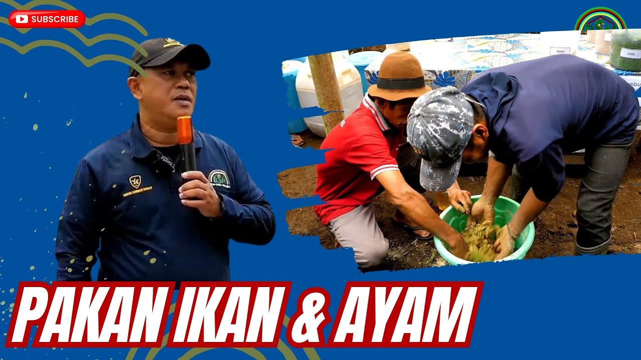 MEMBUAT PAKAN IKAN DAN AYAM TINGGI PROTEIN