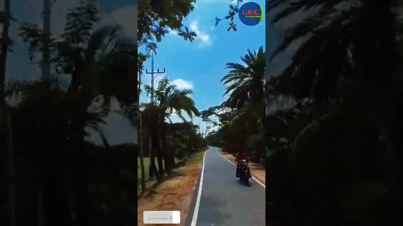 Beautiful road in Bangladeshi, village road,  hatiya Noakhali #road #Hatiya #neture