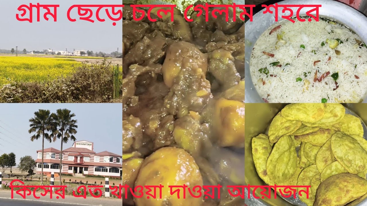 ফ্রাইড রাইস মটন কষা তোমাদের সাথে শেয়ার করলাম রেসিপি 🌹 পাঁচ মাস পর কোথায় গেলাম কি এমন হয়েছিল 🤔
