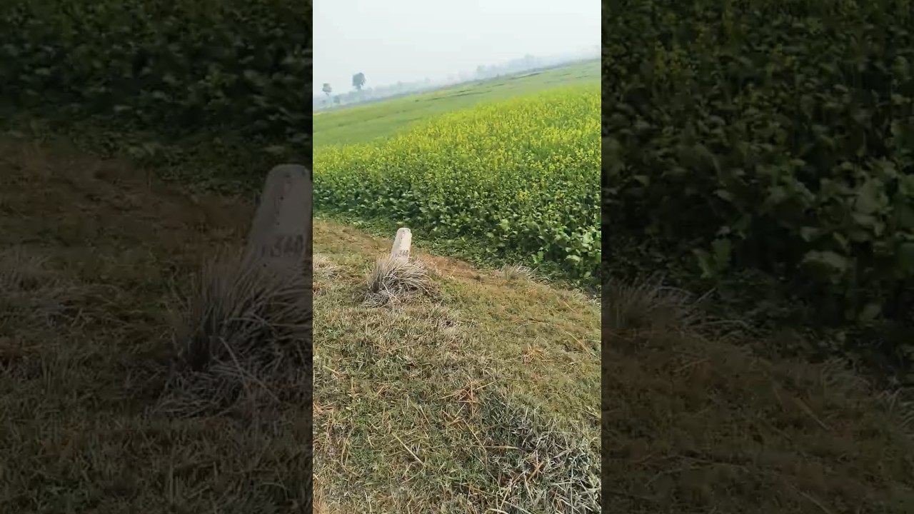 Hame tumse huaa hai peyar 80s song vi 