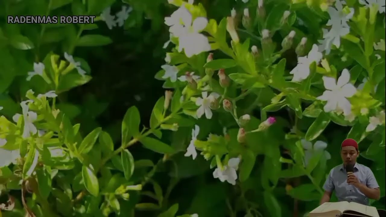 УШБУ СУРАНИ ХАР КУНИ УҚИНГ ЁКИ ЭШИТИНГ Кучли дуо, суралар