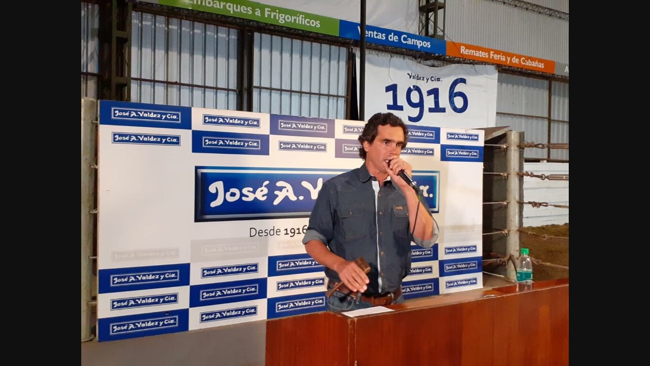 El sector ovino pisa fuerte: arranque auspicioso para la zafra de reproductores