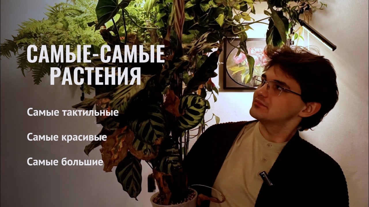 По мотивам Planttanya / Мои САМЫЕ-САМЫЕ растения
