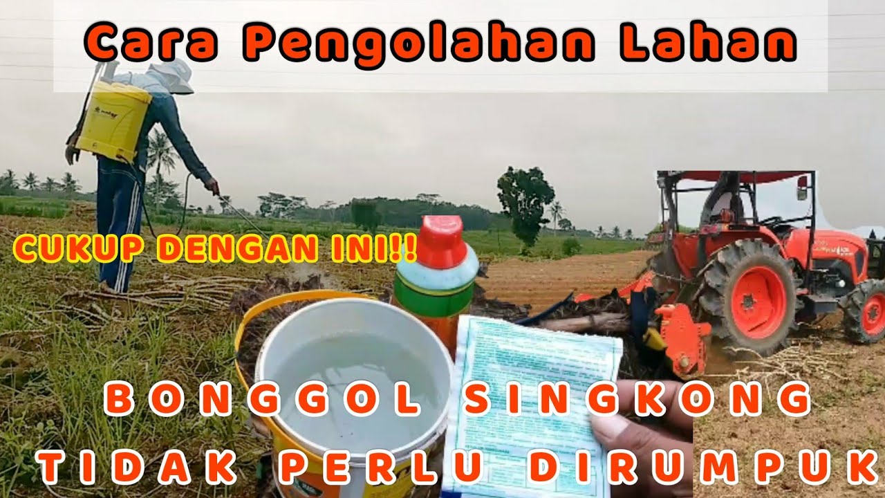 Tanam Singkong tanpa dirumpuk,Cara Pengolahan Lahan