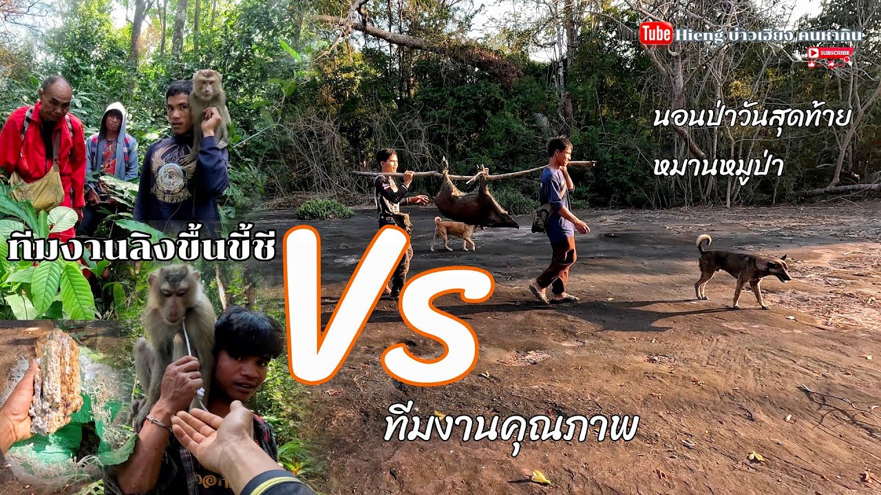 รอบตัดเชือกวันสุดท้ายหมานหมูป่า//ຮອບຕັດເຊືອກວັນສຸດທ້າຍຫມານຫມູປ່າ Hieng บ่าวเฮืยง คนหากิน  ปลา