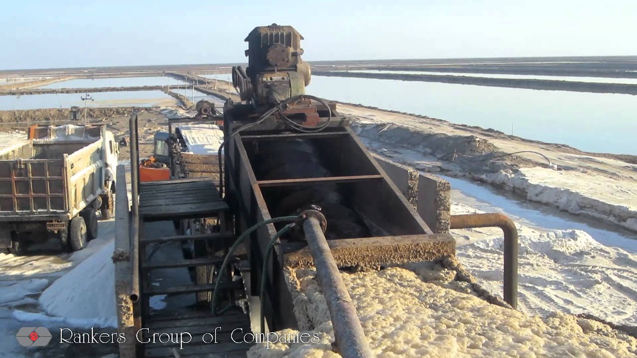 Salt Washery