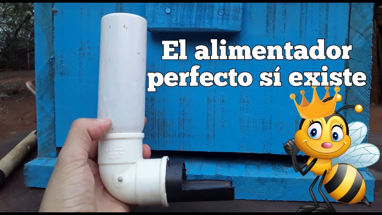 Alimentador casero para abejas