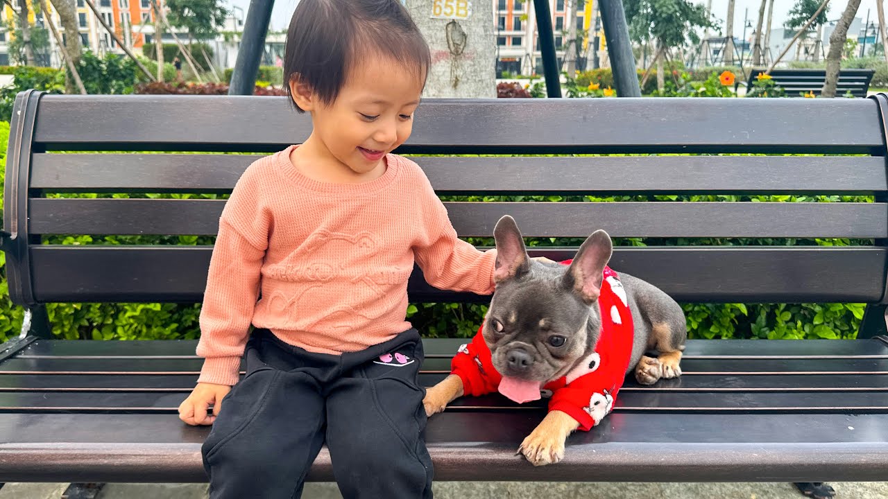 My dog ​​chased and played with strangers at the park with Diem