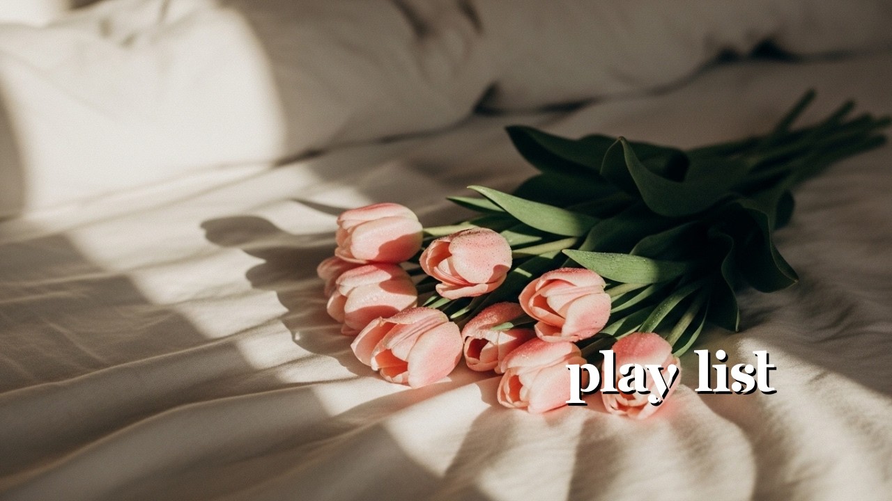 Playlist 🌸 봄 감성 플레이리스트 | Chill Groove Pop & Lofi | 따뜻한 햇살, 산책, 카페 음악