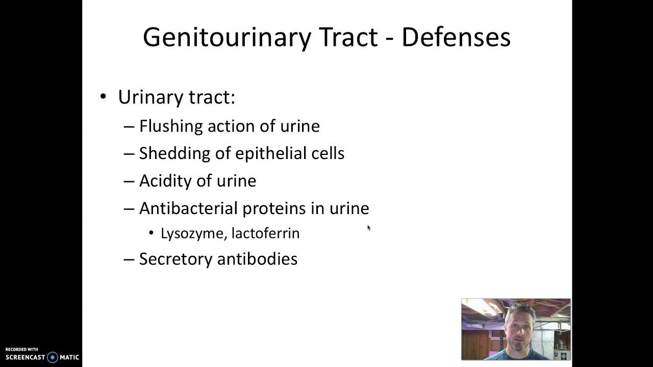 Genitourinary Tract Microbiology