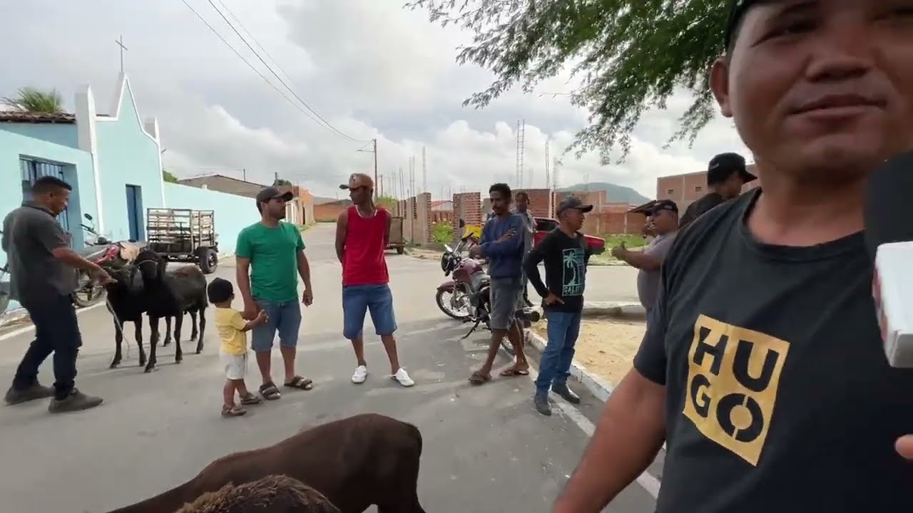 Feira das Ovelhas em São José da Tapera - AL 14 - 02 - 2026 #nordeste 
