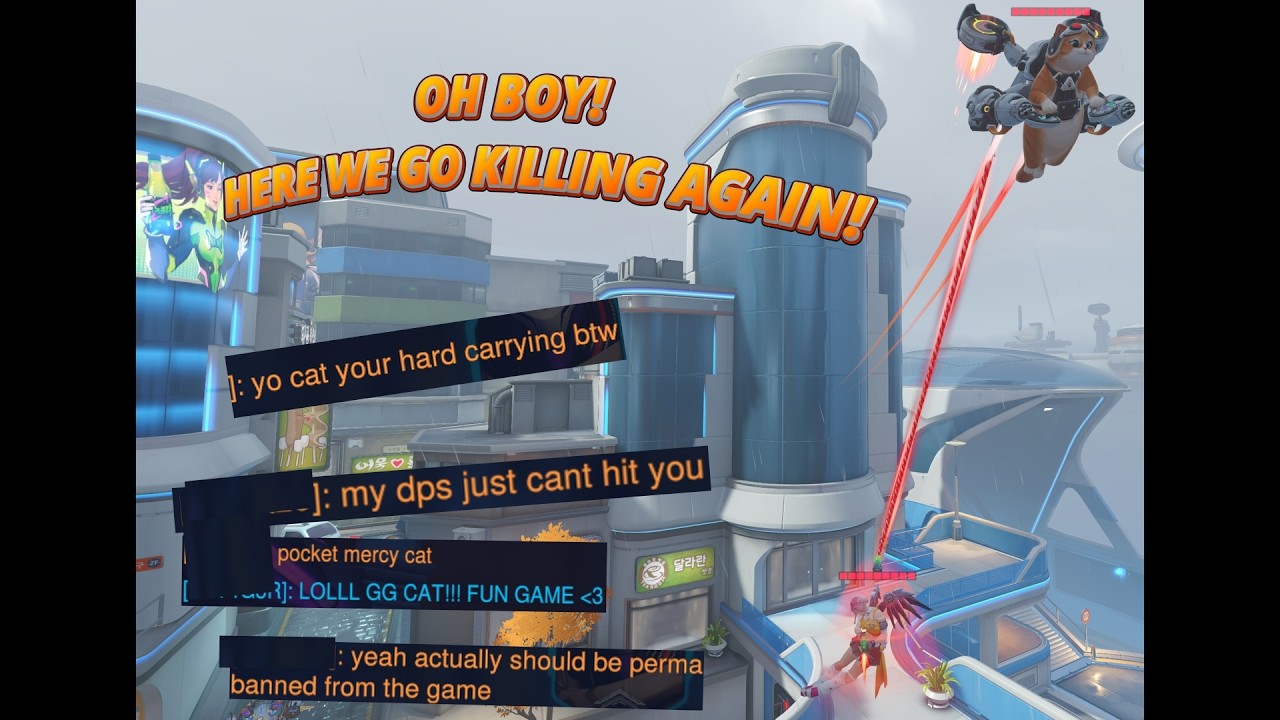 The Aerial Supports Are Broken In Overwatch #cat #angel