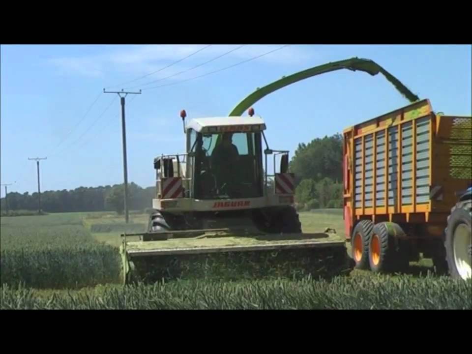 H&uuml;ging GmbH & Co. KG - Gr&uuml;nroggenernte mit Claas Jaguar 860