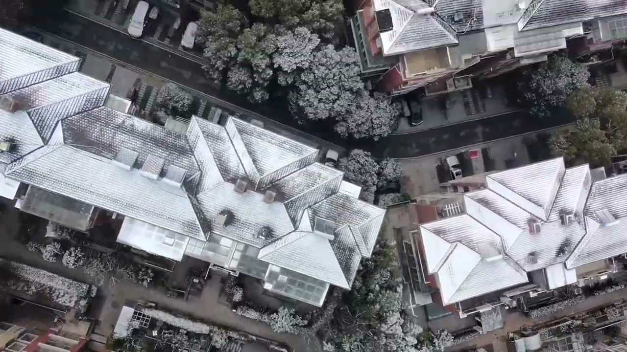 260207_仙林 雪