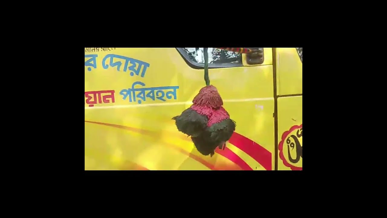 Tata 1109 ex2 কিস্তির হাত বদলের গাড়ি | Tata 1109 ex2 installment truck