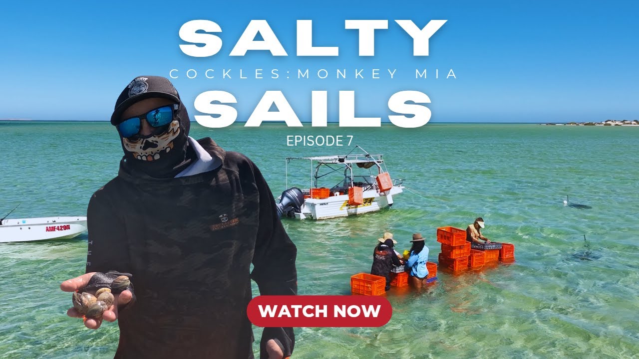 Salty Sails-Tidal Treasures: The best cockles you can find in Monkey Mia - S01E07