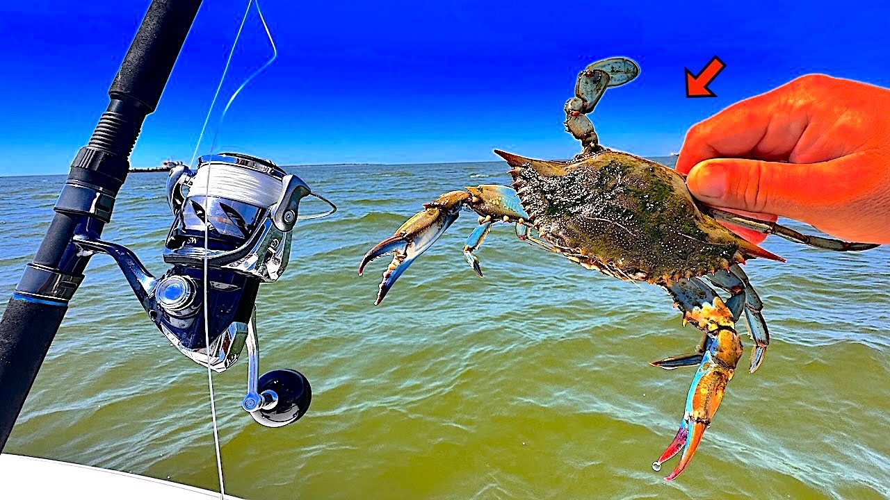 Fishing *BLUE CRABS* for Giant Bull Redfish! [Epic Results]