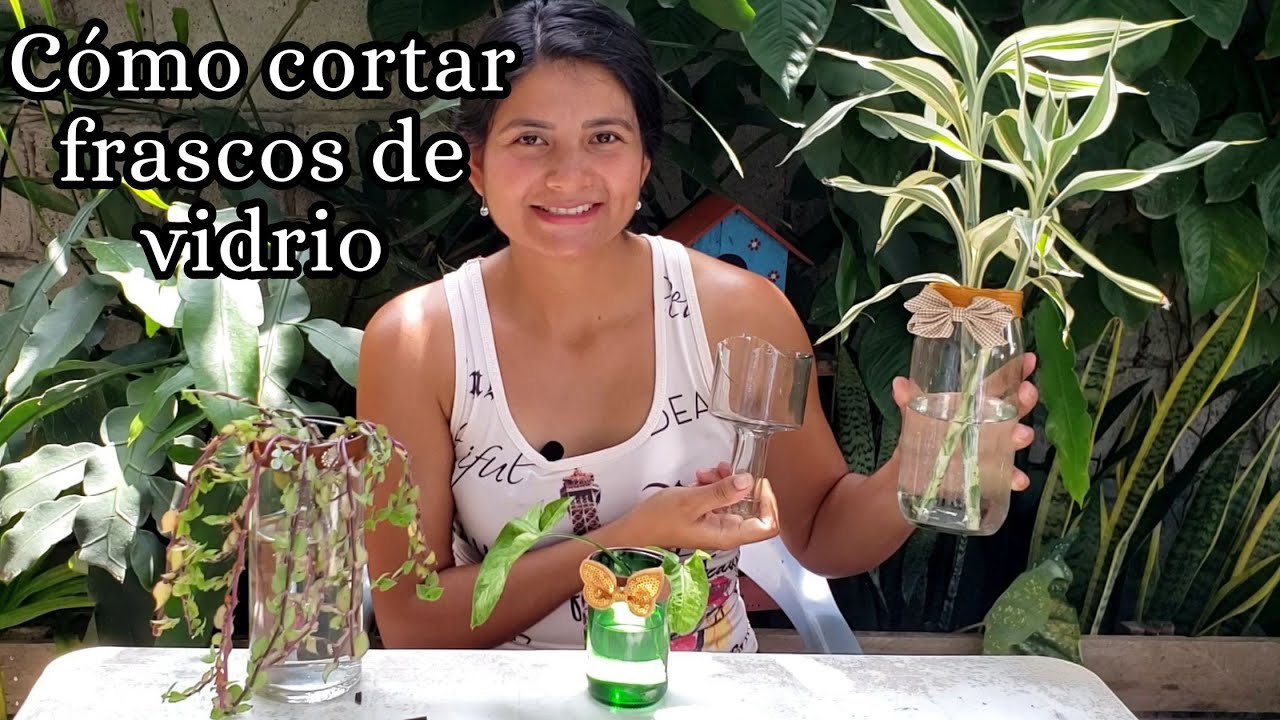 Cómo cortar frascos de vidrio y convertirlos en MACETAS