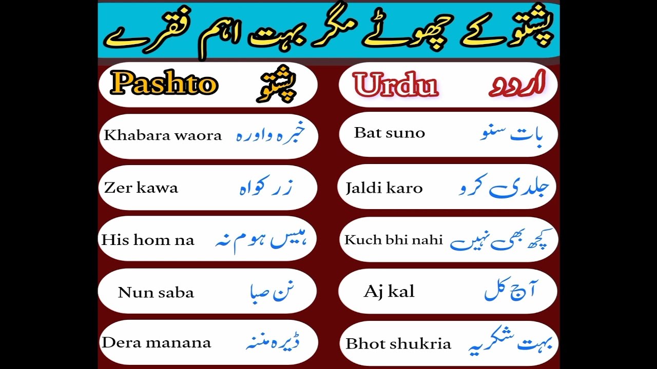 Pashto basic phrases for beginners | daily routine sentences in pashto | learn basic pashto in urdu