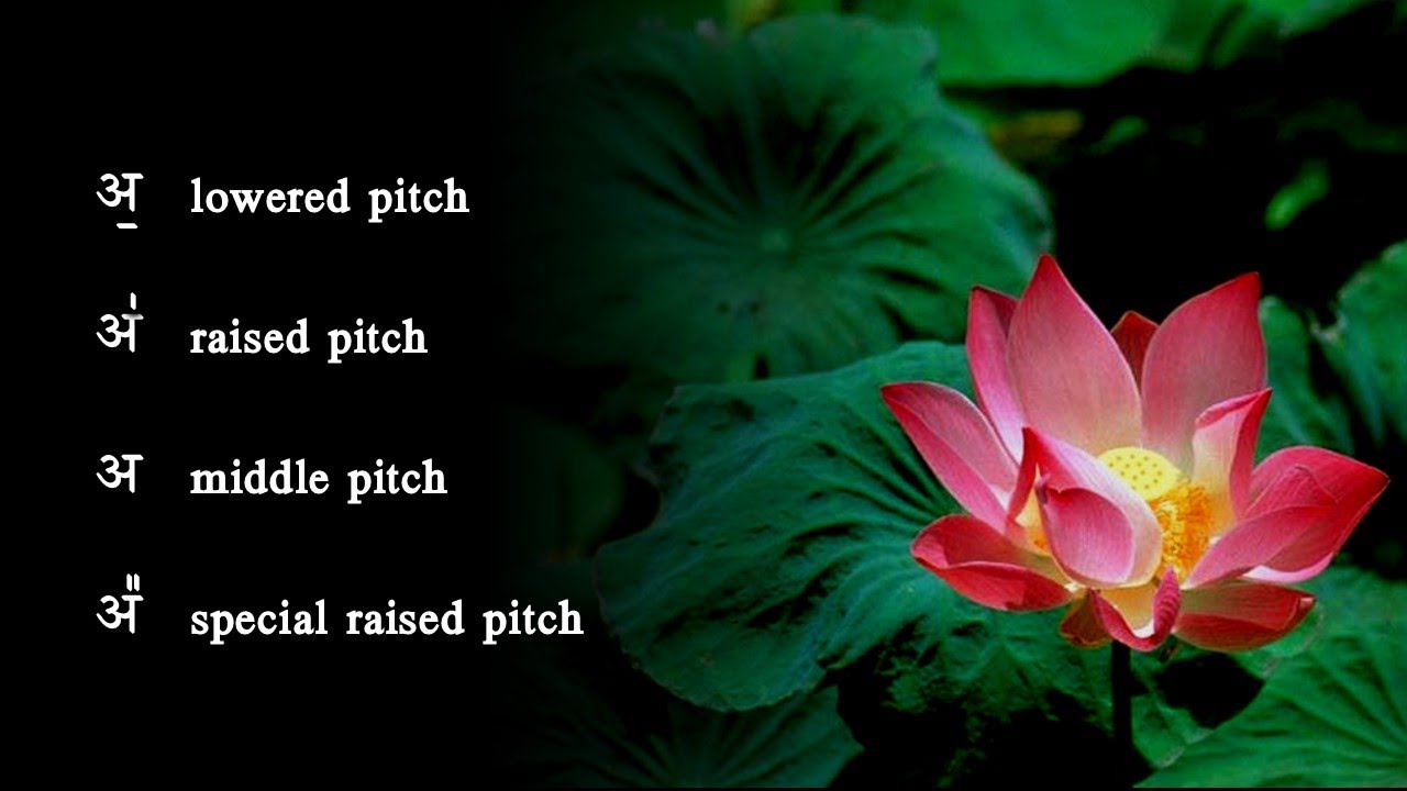 Introduction to Vedic Chanting