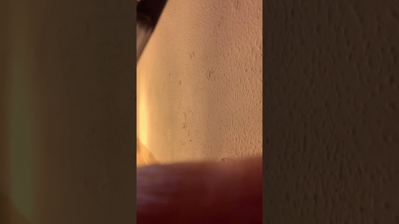 4435