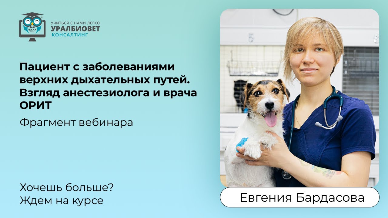 Фрагмент вебинара 