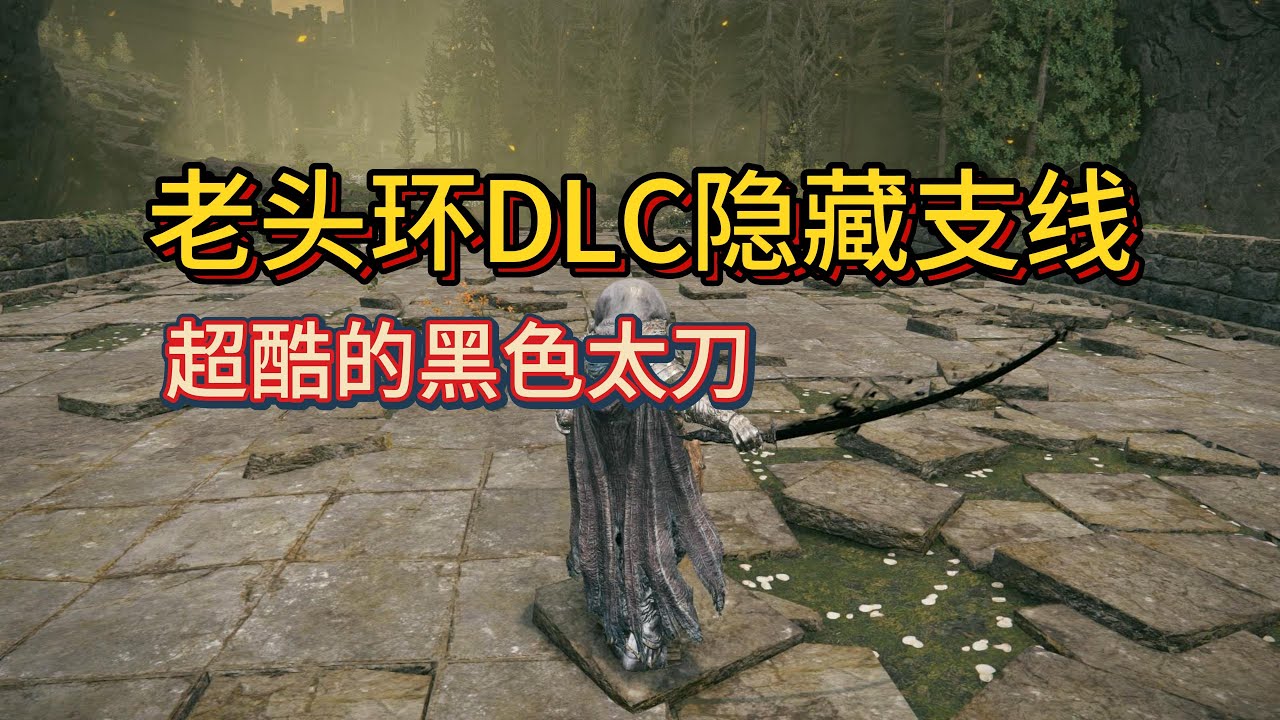 【艾尔登法环DLC】指头隐藏支线攻略！超帅的黑太刀奖励！
